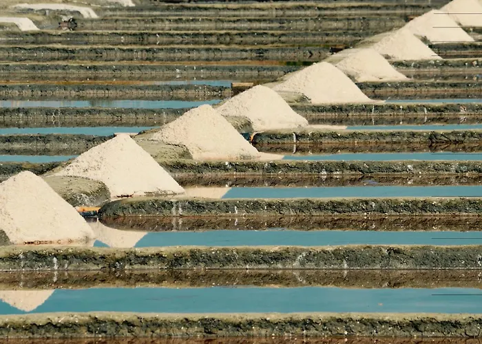 Charming House With Garden Near The Port 펜션 *